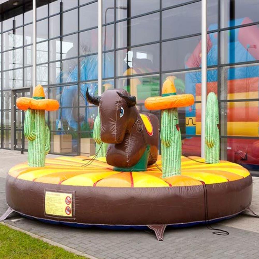 Photo Taureau Gonflable