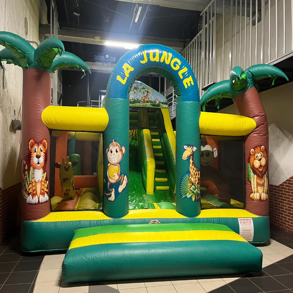 Photo Complexe Toboggan Tunnel Jungle