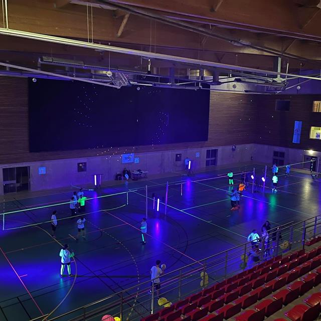 Photo Volley-Ball Fluo