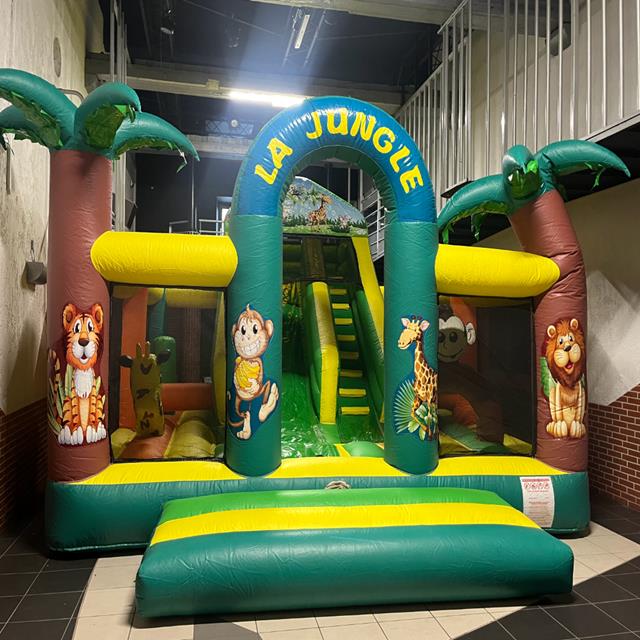 Photo Complexe Toboggan Tunnel Jungle